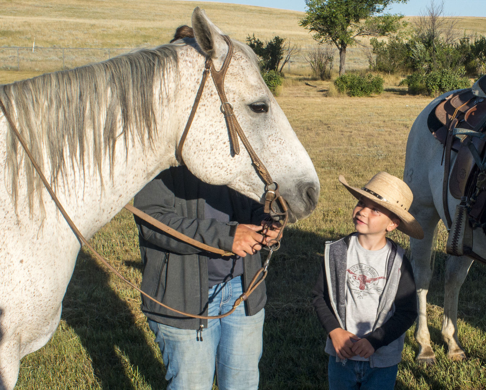 First Day of school horse